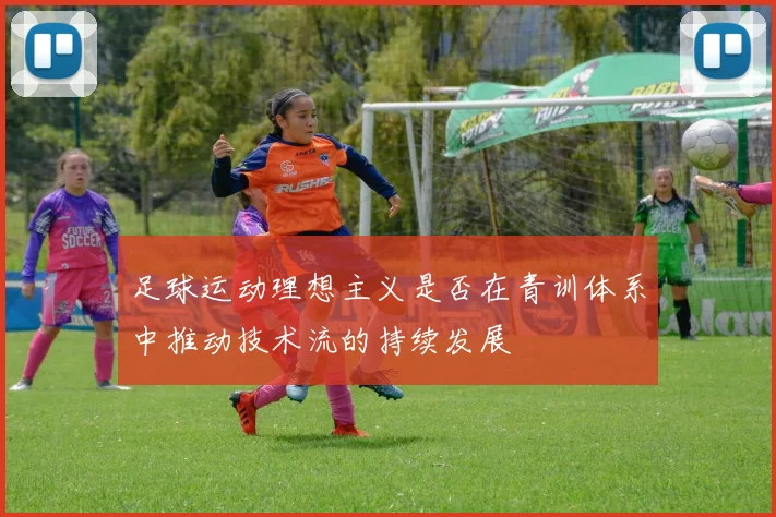 足球运动理想主义是否在青训体系中推动技术流的持续发展