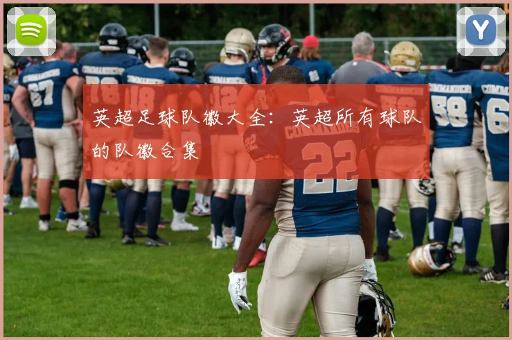 英超足球队徽大全：英超所有球队的队徽合集