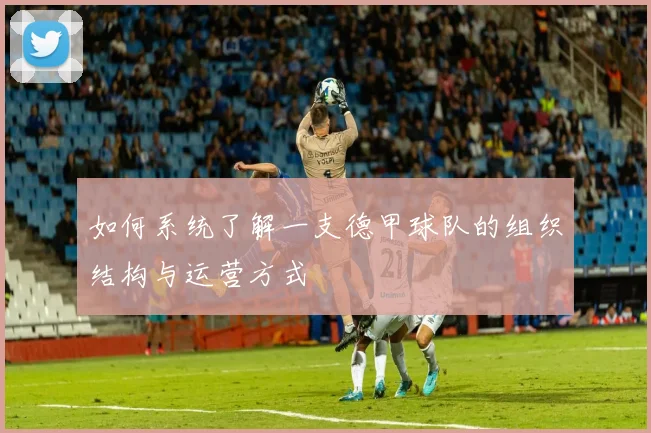 如何系统了解一支德甲球队的组织结构与运营方式